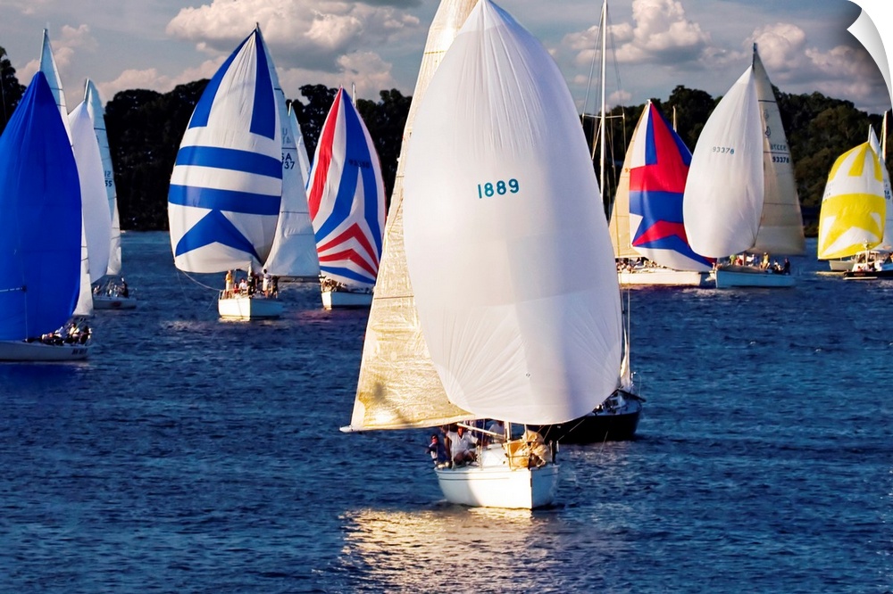 A mass of sailboats sail together over calm water on a cloudy day.