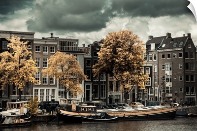 Amsterdam Autumn Colors