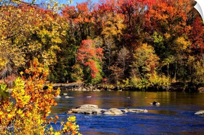 Autumn by the River I