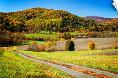 Autumn Hills Farm