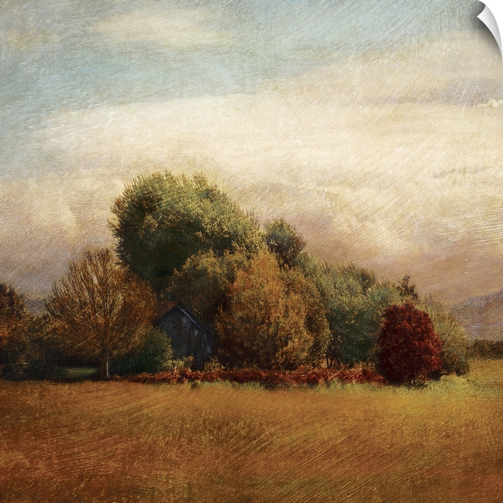 Contemporary painting of a small grove overgrown with trees and an abandoned barn peeking through.