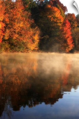 Autumn Mist I