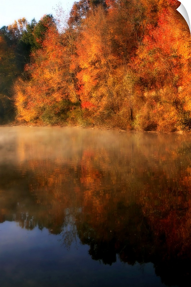 Autumn Mist -2