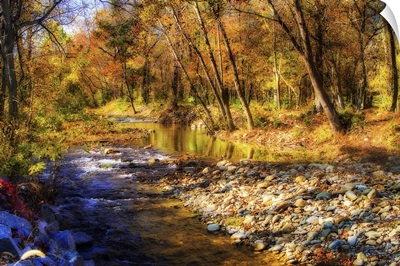 Autumn Waters I