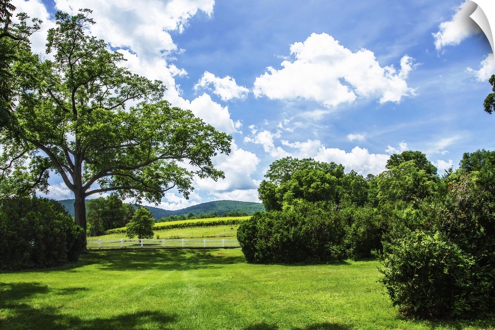 Landscape photograph of the hilly countryside in Barboursville, VA.