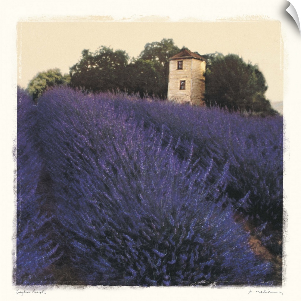 Big canvas art showing a vast field of purple flowers with a small farm or ranch house and forest in the background. Vibra...