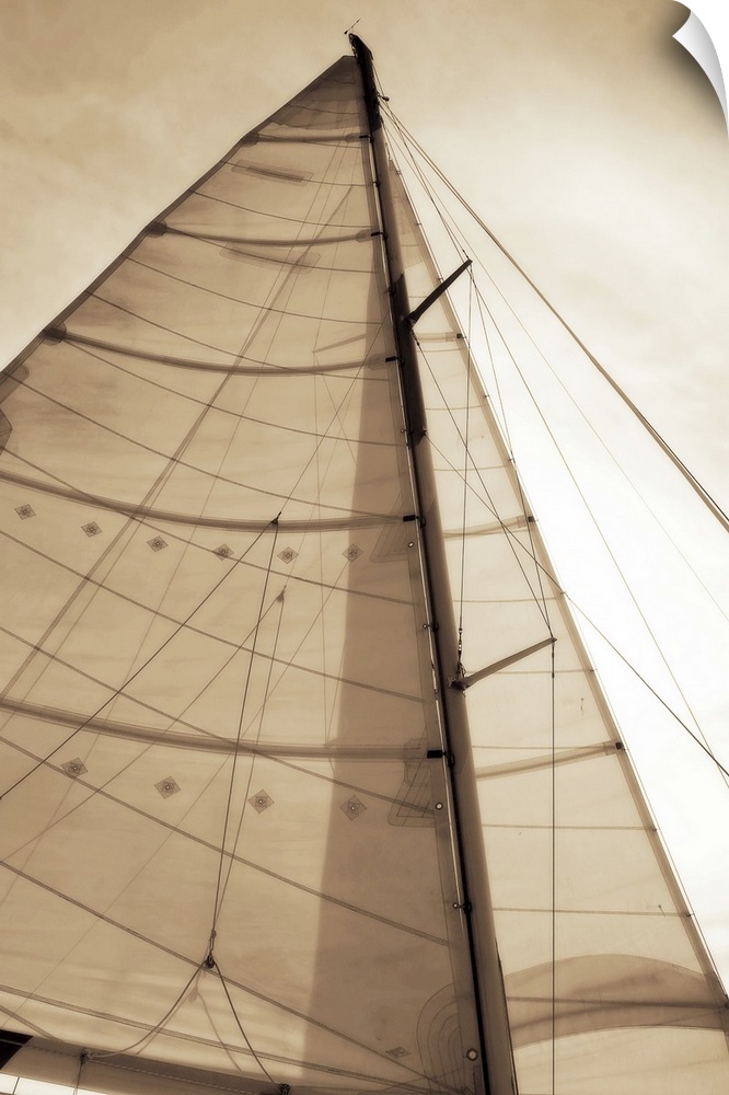 Beaufort Sails 1