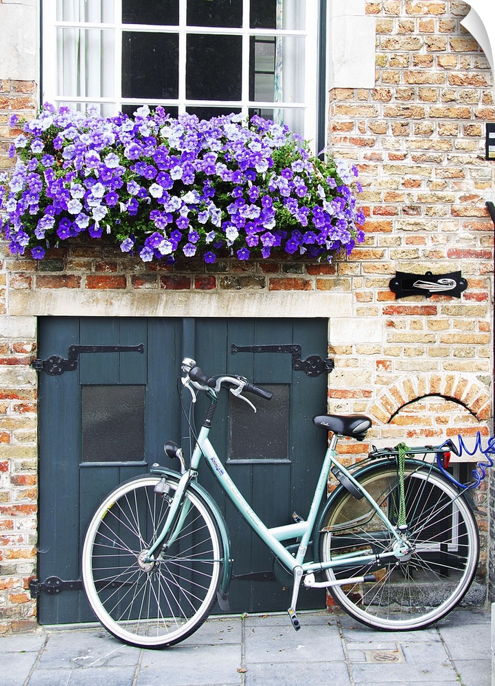 A bicycle parked near a small door with a flowerbox full of purple flowers overhead.