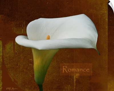 Calla Lily Romance