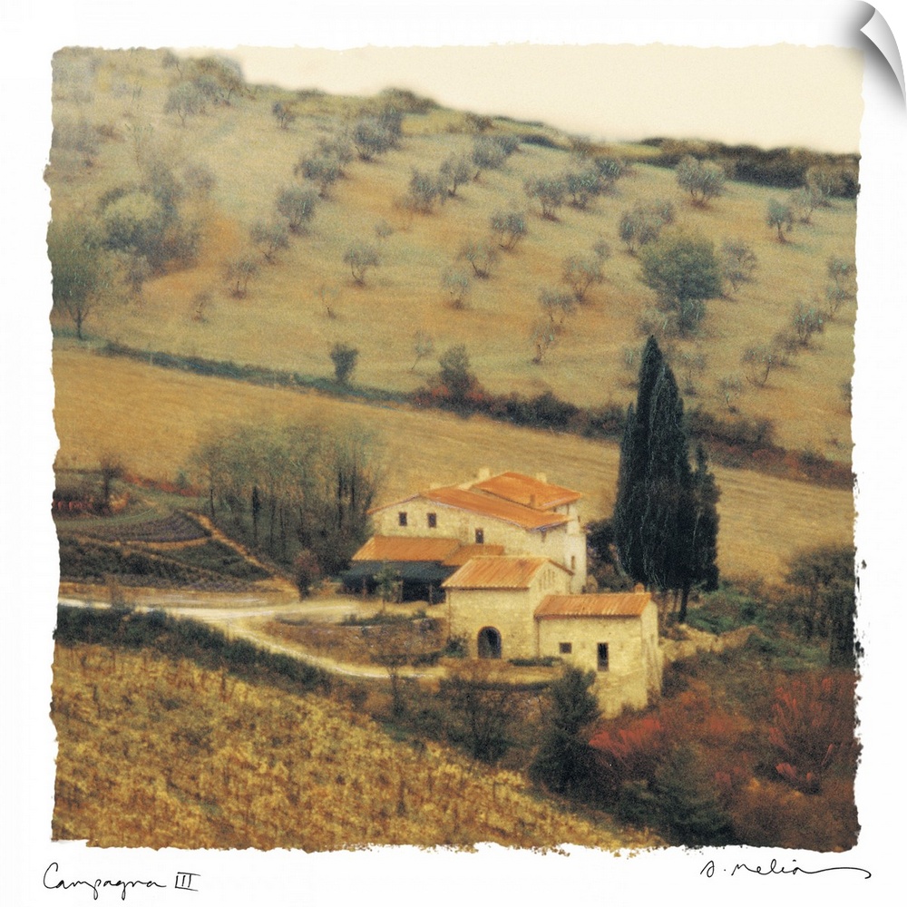 Traditional painting of Tuscan countryside.  There are rows of trees in the background with a stone house in the foregroun...