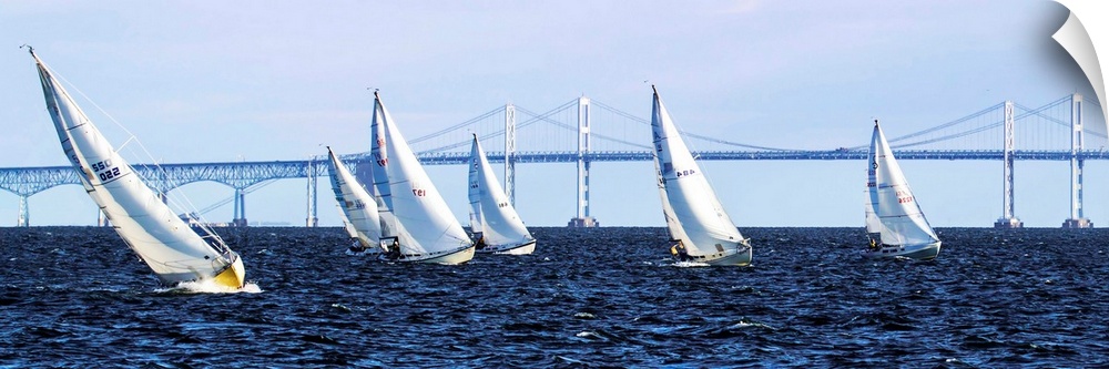 A group of sailboats on the water in front of a long bridge.