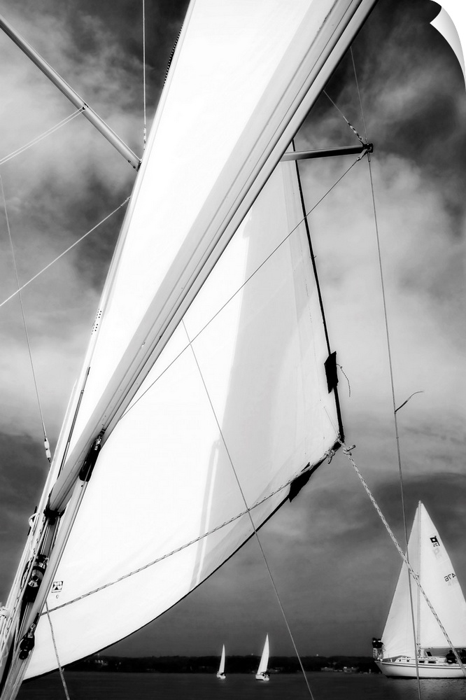 Giant, vertical, close up photograph of a sail blowing in the wind, in front of a cloudy sky.  Several smaller sailboats c...