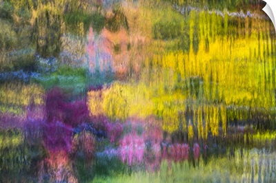 Colorful Reflections V