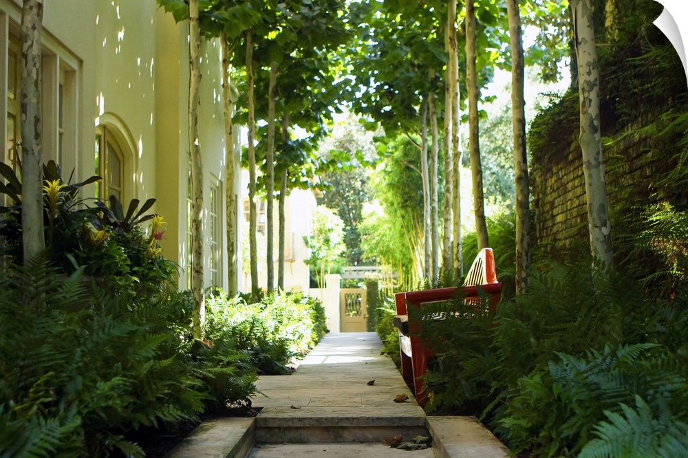 A photograph of a shaded garden pathway besides a house, landscaped with tropical plants, and adjacent to a brick wall.