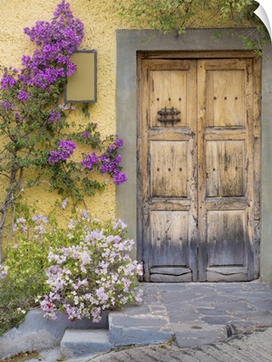 Doorway in Mexico I