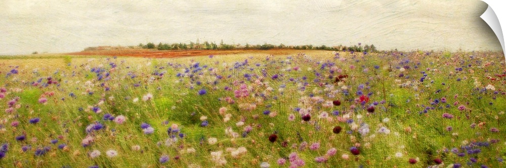 A colorful field of painted wildflowers beneath a clear, open sky on a large, horizontal wall hanging.