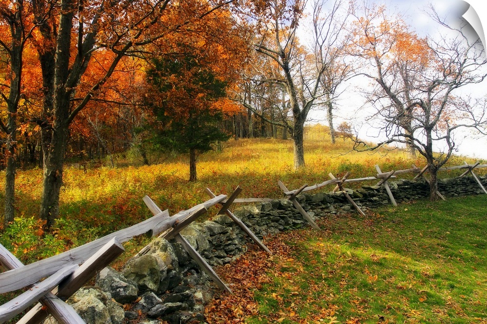 Photograph of low fence line used as a fire wall in fall forest.