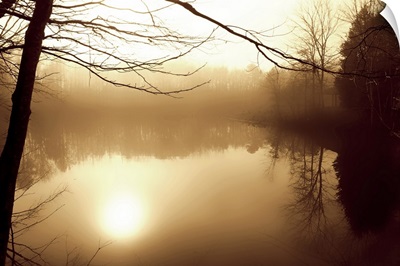Fog on Shelly Lake II
