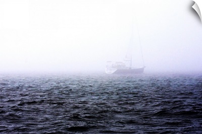 Fog on the Bay I