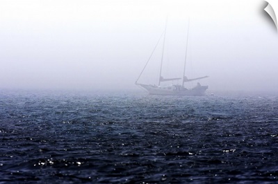 Fog on the Bay II