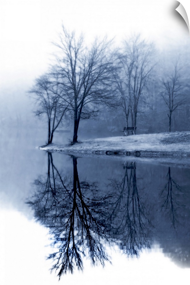Bare trees stand near the edge of water and reflect perfectly down in it.
