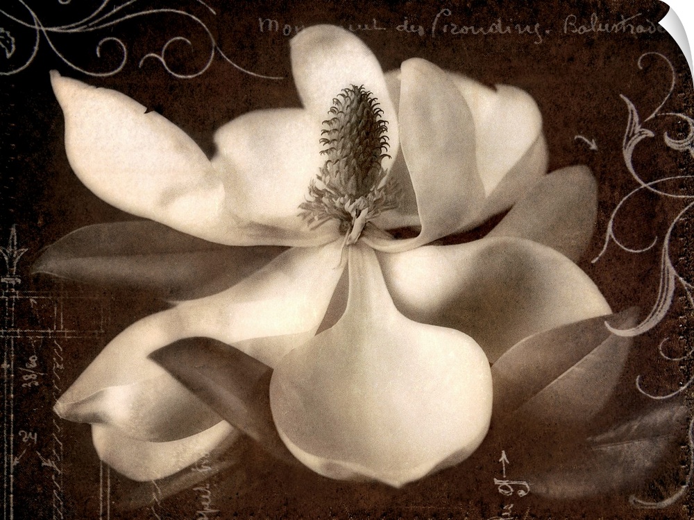 This decorative accent is a collage created with decorative embellishments laid over a magnolia blossom.