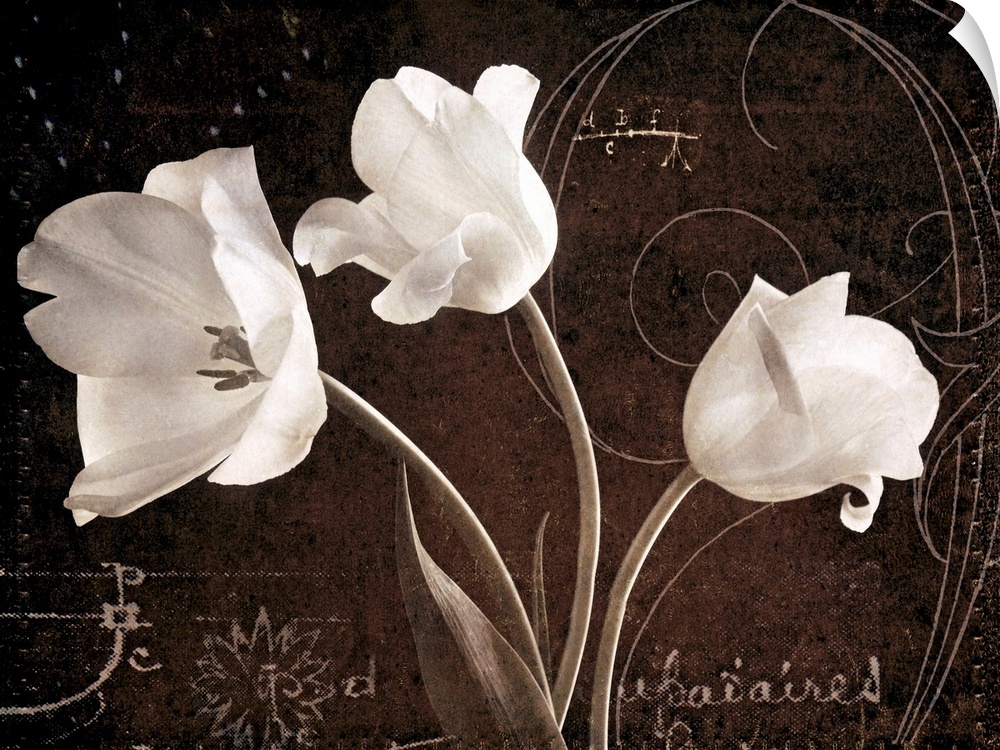 Big canvas of three flowers against a vintage background with decorative markings and writings.