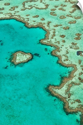 Heart Reef Aerial Vertical View