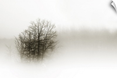 In the Mist II