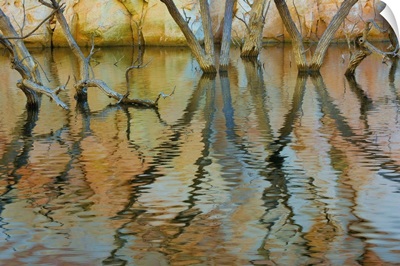 Lake Powell Reflections II