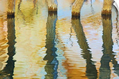 Lake Powell Reflections III