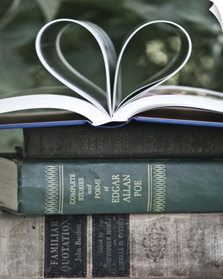 Love Books I