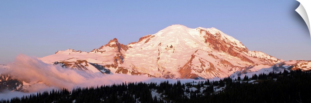 Morning light making Mount Rainier appear slightly pink.