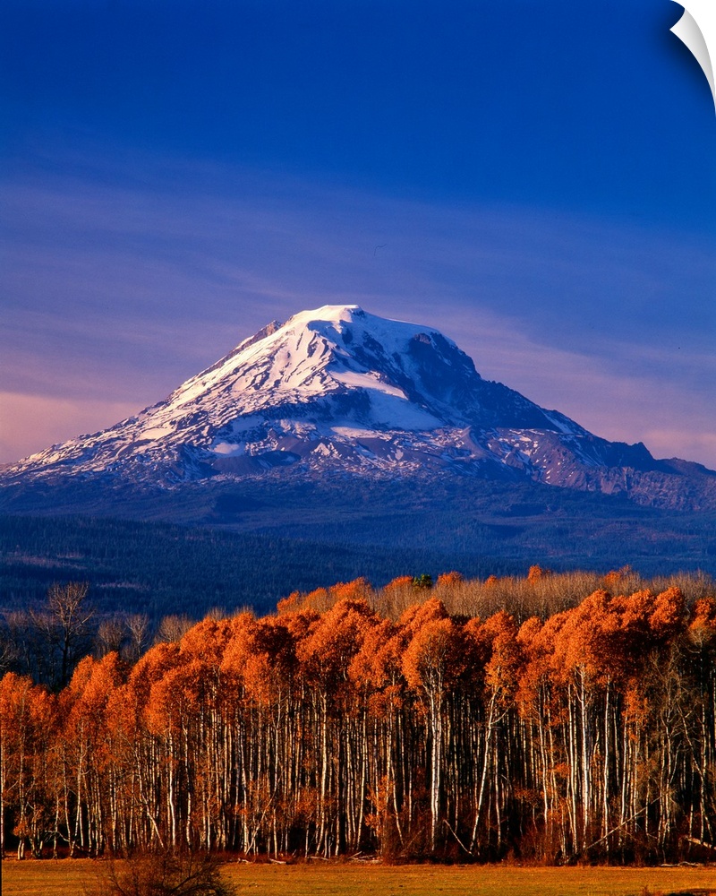 The snow-covered peak of Mount Adams in the fall.