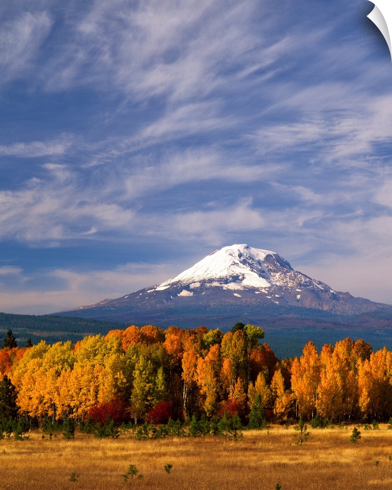 Mount Adams seen from a forest in fall colors with clouds overhead.