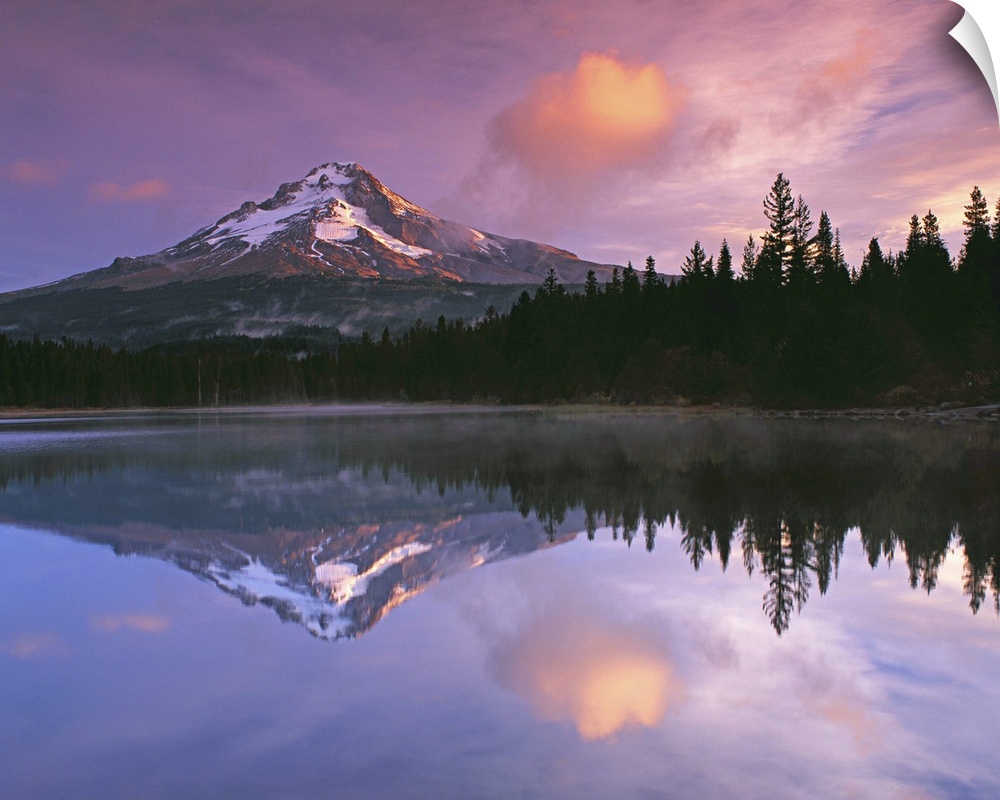 Mount Hood and the surrounding forests reflected in a lake, Oregon.