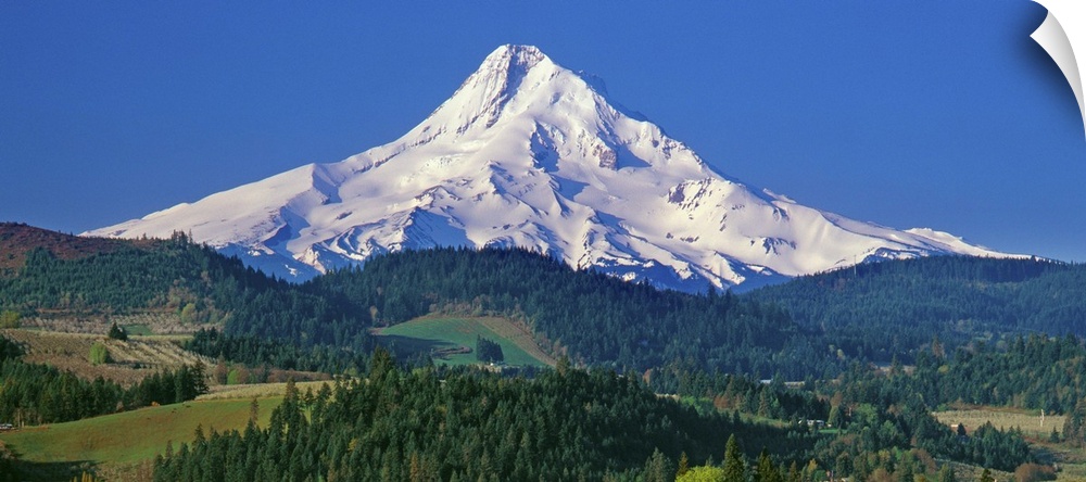 Panoramic photo of Mount Hood against a blue sky.
