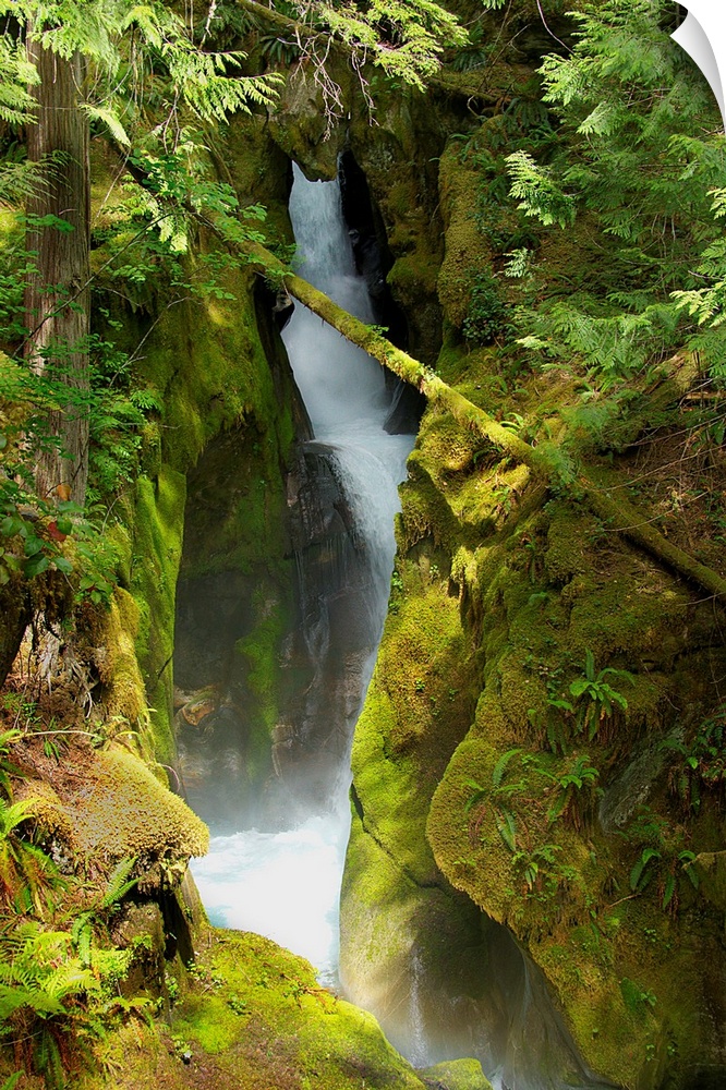 Flowing waterfall surrounded by mossy rocks in Washington state.