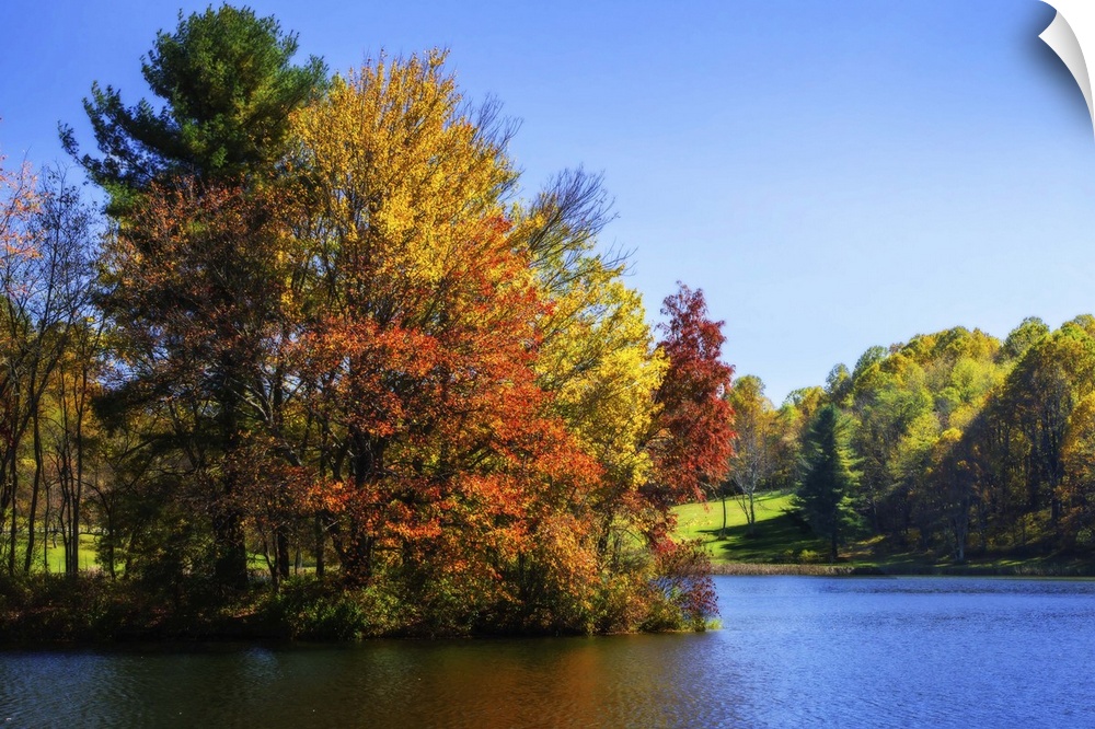Trees turning fall colors at the edge of a lake.