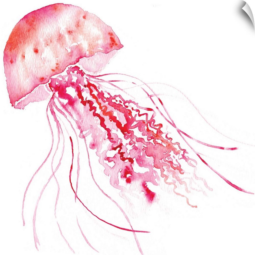 Watercolor painting of a pink jellyfish with long tentacles.