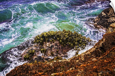 Point Lobos Coastline