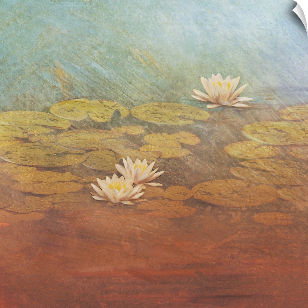 Color drawing of lilies and flowers on a pond.