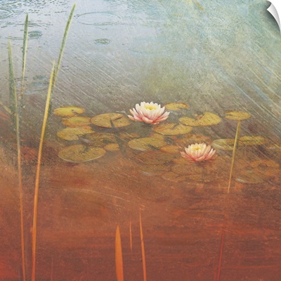 Pond Lilies II