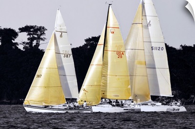 Race at Annapolis 4