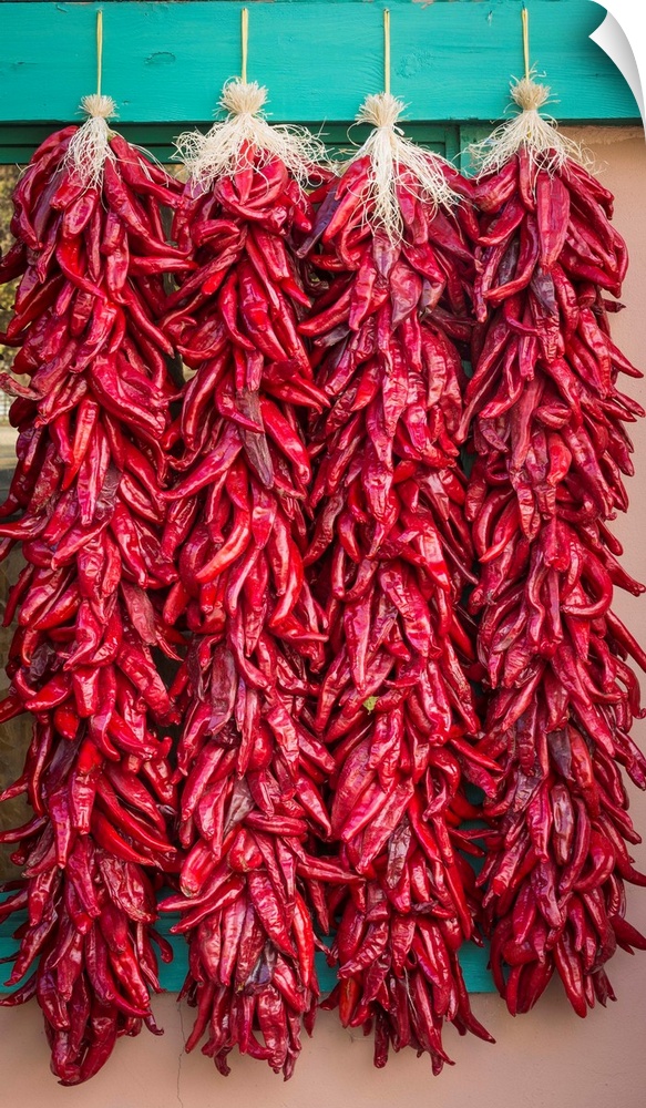 Photograph of four strings of dried chilies.