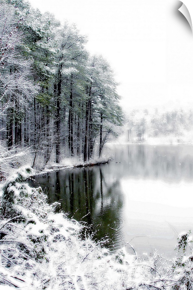 Shelly Lake in Winter 2