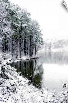 Shelly Lake in Winter II