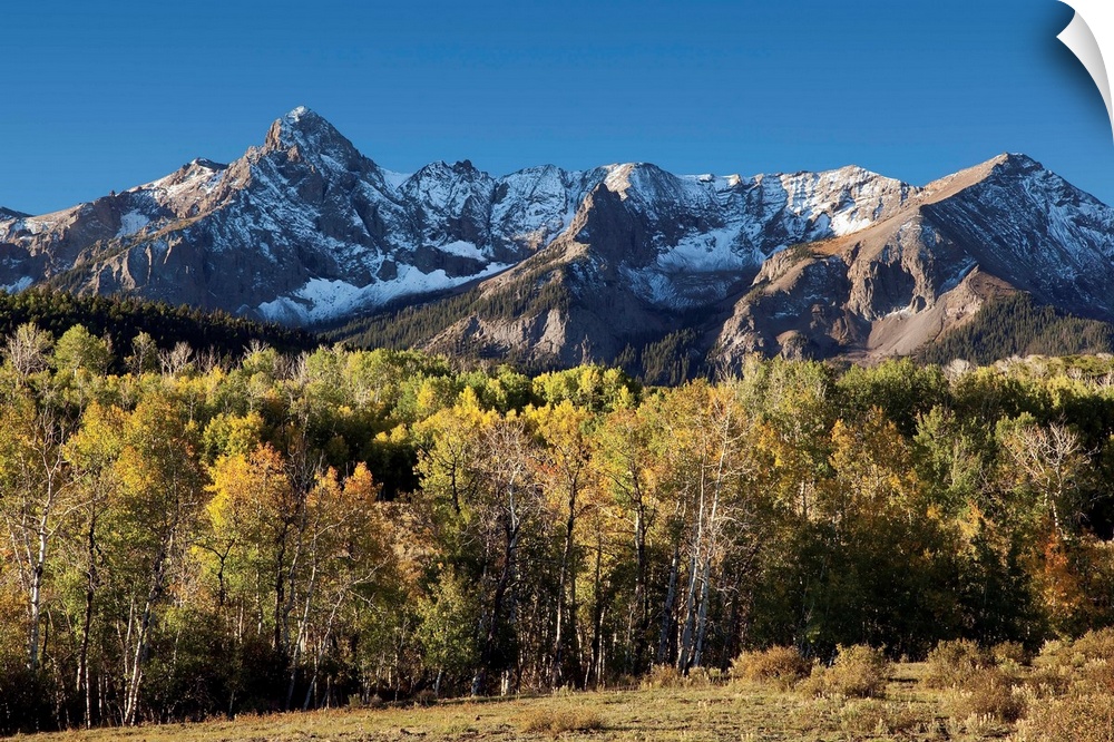 Sneffles Range at Dallas Divide in fall with golden aspens in the San Juan Mountains in Colorado