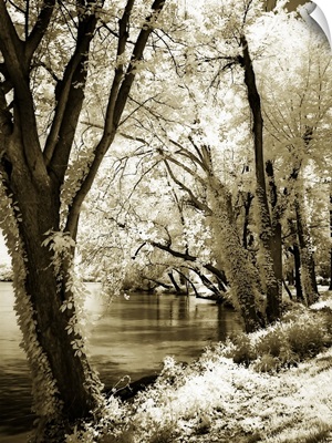 Spring on the River II