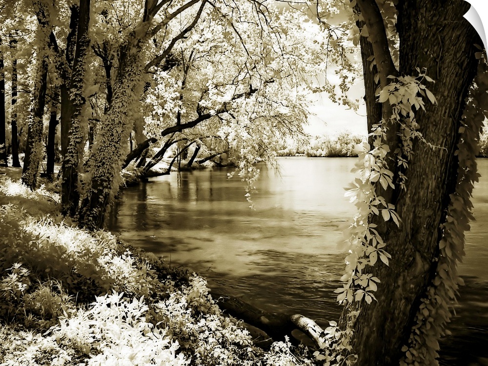 Spring on the River 3